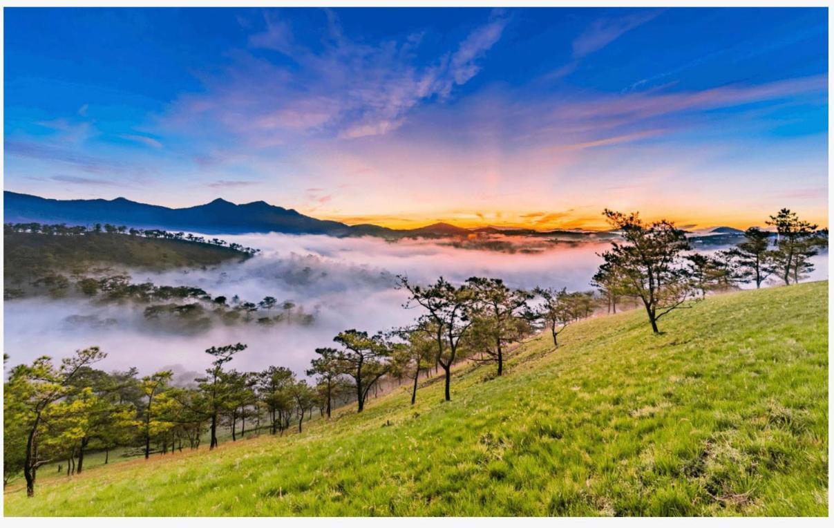 Na Ni Da Lat